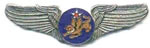 14th Army Air Force Wings